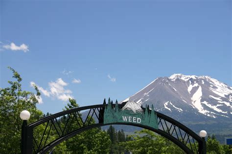 Weed CA Weed Entry With Mt Shasta In Background Photo Picture