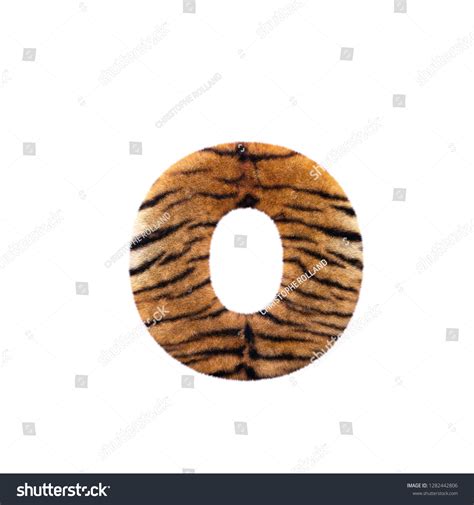 Tiger Letter O Lowercase D Feline Stock Illustration