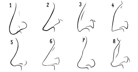 One of the most visible parts of the human body is the human nose. La forma del tuo naso dice molto della tua personalità ...