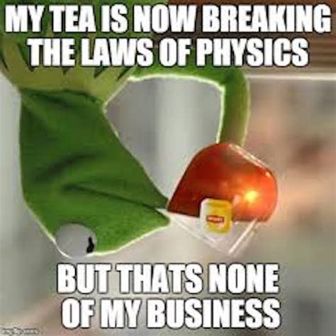 The Best Of The Thats None Of My Business Kermit Meme