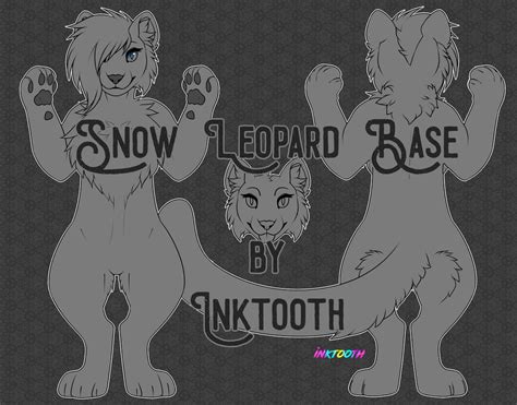 Snow Leopard Base By Inktooth On Deviantart