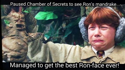 Ron Weasley S Amazing Mandrake Reaction In The Chamber Of Secrets Love
