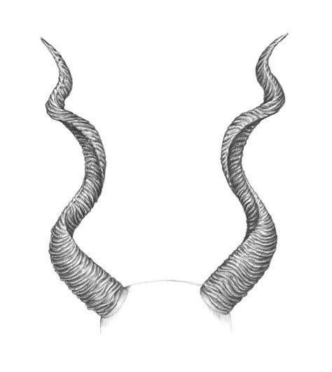 Horns From The Front Drawings Black And White Art Drawing Scary Art