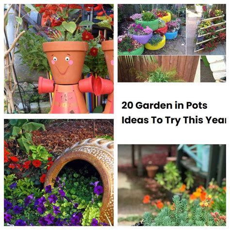 20 Garden In Pots Ideas To Try This Year Sharonsable