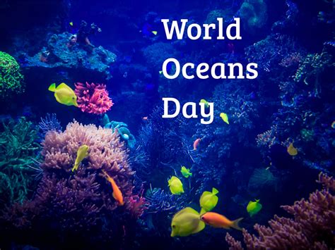 World Oceans Day In 20222023 When Where Why How Is Celebrated