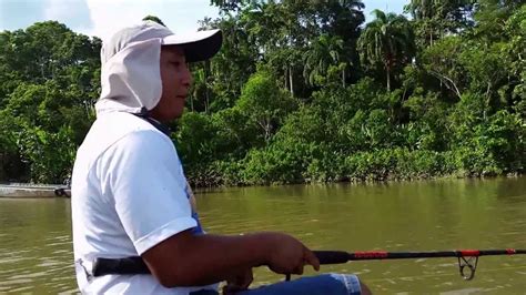Pesca En La Amazonia RÍo Napo Youtube
