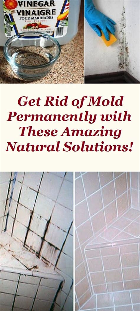 Get Rid Of Mold Permanently With These Amazing Natural Solutions