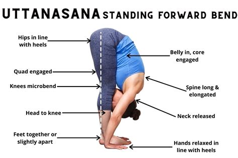 Uttanasana Standing Forward Bend Steps Benefits Variations And More Fitsri Yoga