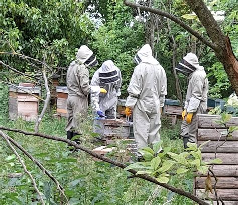 Beekeeping Courses The Barnyard Apiaries