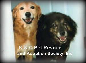Rescued animals up for adoption at kc pet oproject. K & C Pet Rescue and Adoption Society, Inc. - Home | Facebook