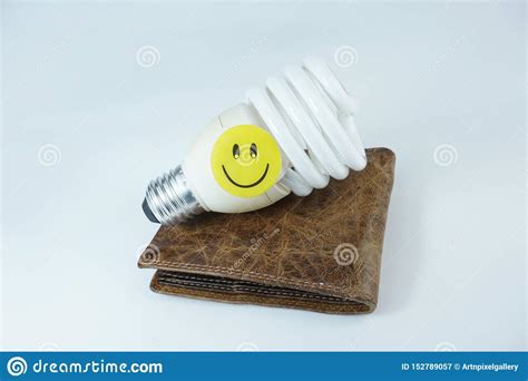 Smiley Happy Face On Energy Saving Bulb And Leather Wallet Isolated On