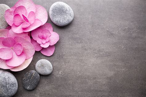 Flowers Stones Pink Spa Zen Hd Wallpaper Wallpaperbetter