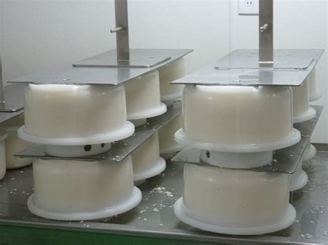 Mechanical Cheese Press C Van T Riet Dairy Technology Usa