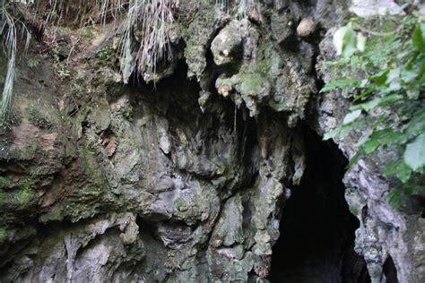 Discovering Nz Northland Kawiti Glowworm Caves