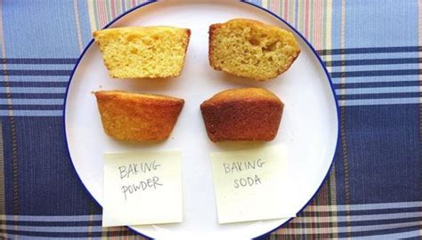 Perbedaan baking soda dengan baking powder. Kue Tanpa Baking Powder Mengembang Tidak - Perbedaan ...