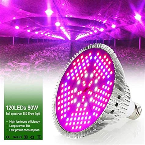 Ultraviolet Light Bulbs For Growing Plants Phytolamp Full Spectrum