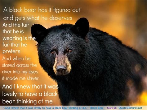 One of the best book quotes from the bear. Black Bear Quotes. QuotesGram