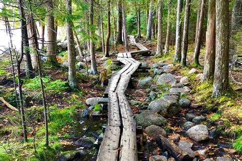 Best Easy Hikes In Acadia National Park Acadia National Park