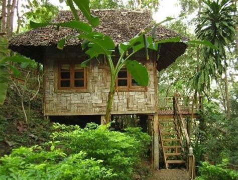 Tropical Hut Thatched Thatch Hut Bali Thai Jungle Hut Tiny House