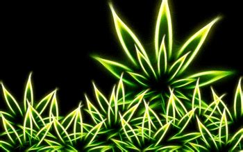 Discover ideas about trippy wallpaper. Marijuana Theme for Windows 10