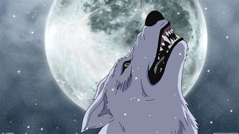 Wolf Manga Hd Wallpapers Desktop And Mobile Images And Photos