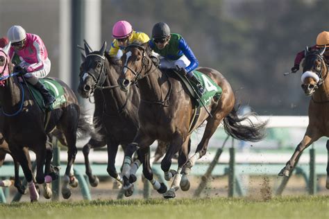 The same horse, who won the 2017 hope full stakes (gi), continued to the grass and conquered the heavy prize even in dirt. 第35回 ローレル競馬場賞中山牝馬ステークス（GⅢ） トーセン ...