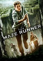 The Maze Runner (2014) - Posters — The Movie Database (TMDb)