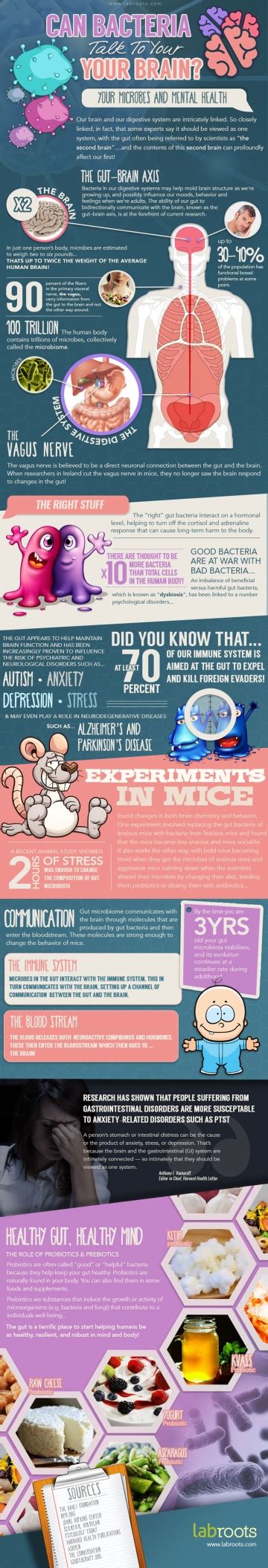 The Shocking Link Between Gut Bacteria And Mental Health Infographic