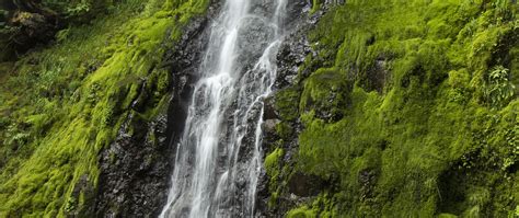 Download Wallpaper 2560x1080 Waterfall Cliff Moss Water Stones Dual