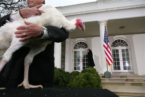 on what charges the history of the presidential turkey pardon farm sanctuary