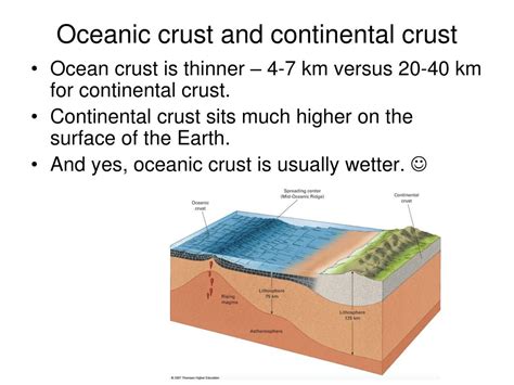 Ppt The Ocean Basins Powerpoint Presentation Free Download Id1317503