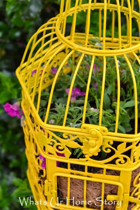 Bird Cage Planter Whats Ur Home Story Bird Cage Decor Bird Cage