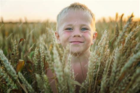 Un Niño En Un Campo De Trigo Con Orejas En Las Manos Bajo El Sol