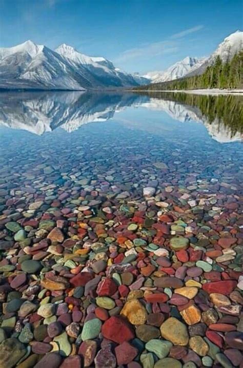 Pebble Shore Lake Glacier Park Montana Montana Lakes Cool Places To