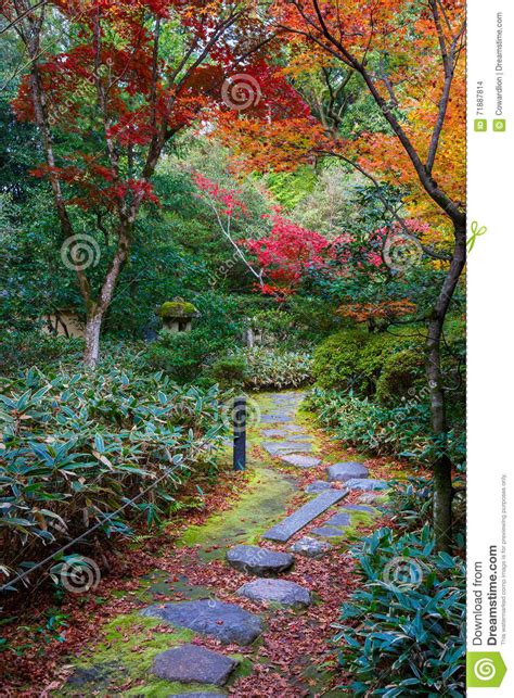 Autumn At Koto In In Kyoto Japa Stock Photo Image Of Background