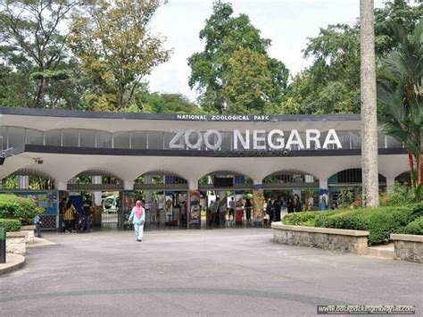 Zoo negara adalah wisata kebun binatang populer di malaysia. Promo Harga Tiket Zoo Negara Terbaru 2019