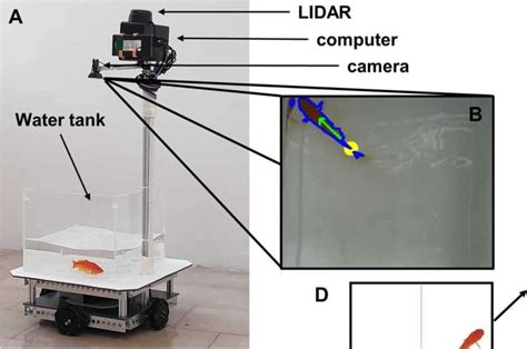 Goldfish Taught To Drive Little Land Vehicle To Desired Targets