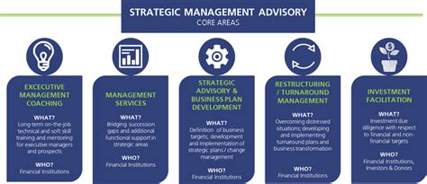 Strategic Management Advisory Frankfurt School
