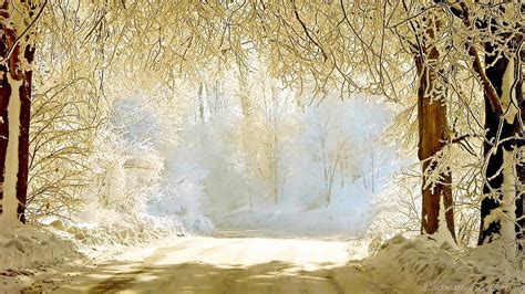 30 Beautiful Winter Wallpapers Backgrounds Images