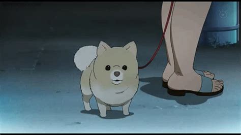 Anime Dogs Anime Amino