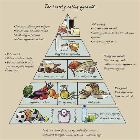 Food Pyramid For Kids Printable Medical Anatomy