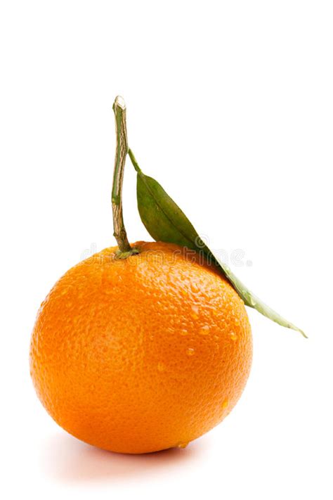 Ripe Orange Fruit With Leaf Stock Image Image Of Healthy Natural