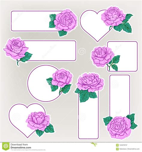 Set Of Labels Stickers With Pink Roses Isolated On White Background