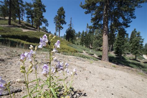 10 Great Hikes In The San Bernardino Mountains Outdoor Project