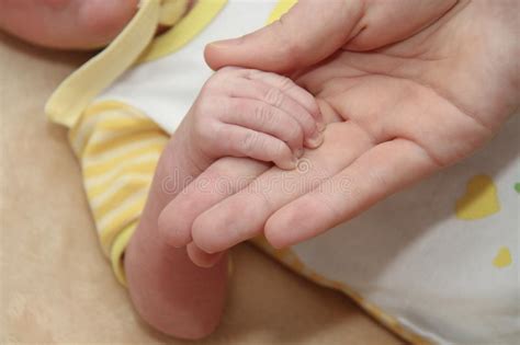 Mother And Her Newborn Baby Parent Holding Newborns Hands Stock Photo