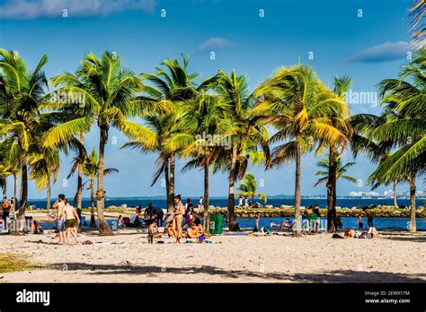 Beach Goers Enjoying The Atoll Pool At Matheson Hammock Park In Miami