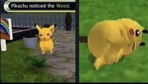 New Pikachu Meme Meet Old Pikachu Meme Pokemon Memes Pokemon Funny
