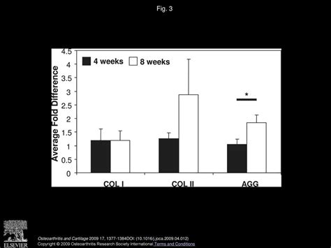 Photo Crosslinked Alginate Hydrogels Support Enhanced Matrix