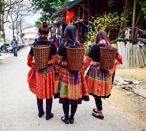 Hmong girl group, picking tea specialties, Mai Chau, Viet Nam | Girl ...