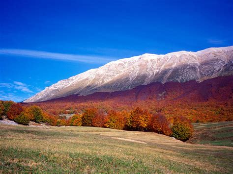 207,828 likes · 4,391 talking about this. Abruzzo: the Authentic Wilderness of Central Italy - G.L.T.